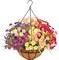 Everlasting Spring Charm: Artificial Hanging Flowers with Coconut-Lined Basket